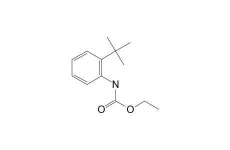 2-Tert-butylaniline, N-ethoxycarbonyl-