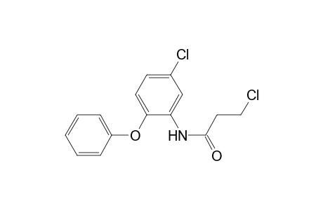 3-chloranyl-N-(5-chloranyl-2-phenoxy-phenyl)propanamide