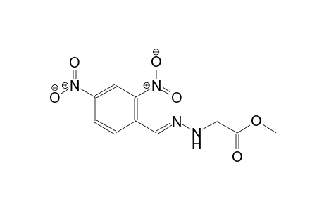 methyl [(2E)-2-(2,4-dinitrobenzylidene)hydrazino]acetate