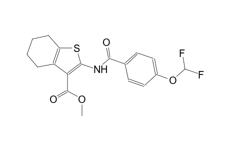 methyl 2-{[4-(difluoromethoxy)benzoyl]amino}-4,5,6,7-tetrahydro-1-benzothiophene-3-carboxylate