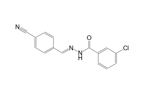 benzoic acid, 3-chloro-, 2-[(E)-(4-cyanophenyl)methylidene]hydrazide