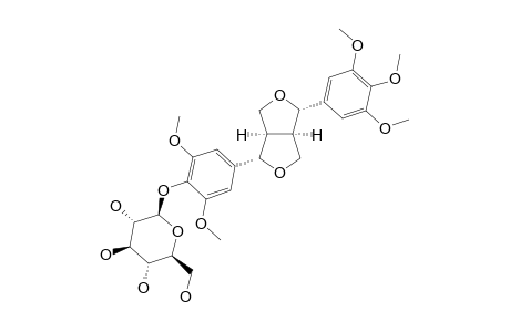 ICARISIDE-E7