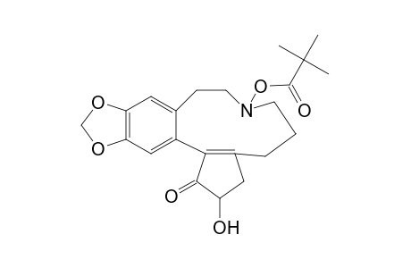 Macrocyclic N-tert-Butoxycarbonyl .alpha.'-HydroxyAmino Enone
