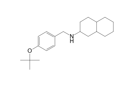 2-Naphthalenamine, N-[[4-(1,1-dimethylethoxy)phenyl]methyl]decahydro-
