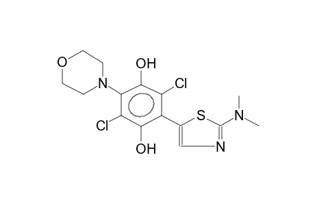 2-DIMETHYLAMINO-5-(4-MORPHOLINO-2,5-DIHYDROXY-3,6-DICHLOROPHENYL)THIAZOLE