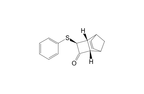 (2S*,4S*,5R*)-4-(Phenylthio)tricyclo[4.2.1.0(2,5)]non-7-en-3-one