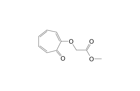 Methyl (2-troponyloxy)acetate