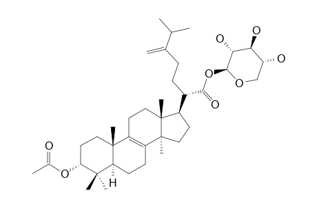 FOMITOSIDE-G;3-ALPHA-ACETOXYLANOST-8,24(31)-DIEN-21-OIC-ACID-21-O-BETA-D-XYLOPYRANOSIDE