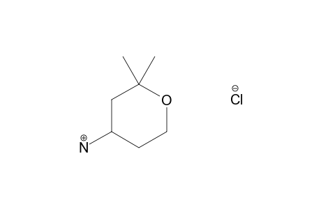 2,2-DIMETHYLTETRAHYDROPYRAN-4-AMINE, HYDROCHLORIDE