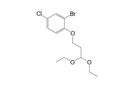 2-bromo-4-chloro-1-(3,3-diethoxypropoxy)benzene