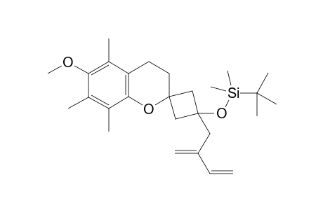 tert-butyl-[6-methoxy-5,7,8-trimethyl-1'-(2-methylenebut-3-enyl)spiro[chromane-2,3'-cyclobutane]-1'-yl]oxy-dimethyl-silane