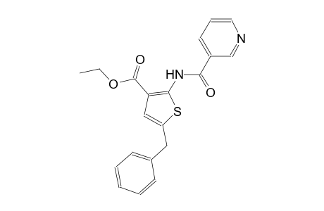 ethyl 5-benzyl-2-[(3-pyridinylcarbonyl)amino]-3-thiophenecarboxylate