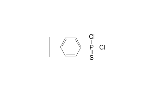 Phosphonothioic dichloride, (p-tert-butylphenyl)-
