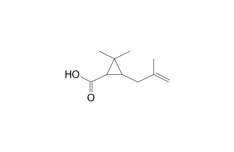 2,2-Dimethyl-3-(2-methyl-2-propenyl)cyclopropanecarboxylic acid