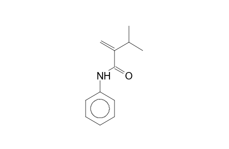 2-Isopropyl-N-phenylacrylamide