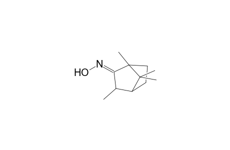 2-Norbornanone, 1,3,7,7-tetramethyl-, oxime