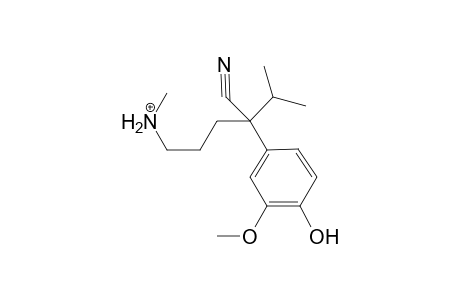 Verapamil-M (bis-O-demethyl-HO-) isomer 2 MS3_1