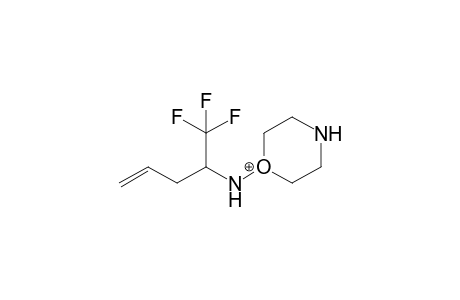 2-(Morpholin-1'-yl)amino-1,1,1-trifluoropent-4-ene
