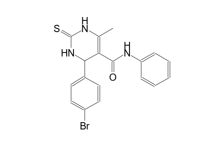 4-(4-bromophenyl)-6-methyl-N-phenyl-2-thioxo-1,2,3,4-tetrahydro-5-pyrimidinecarboxamide
