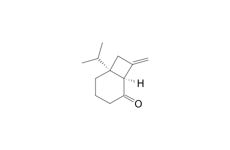 (1R,6S)-6-isopropyl-8-methylene-bicyclo[4.2.0]octan-2-one
