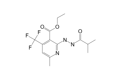 2-(N'-isobutyrylhydrazino)-6-methyl-4-(trifluoromethyl)nicotinic acid ethyl ester