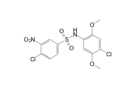 4,4'-dichloro-2',5'-dimethoxy-3-nitrobenzenesulfonanilide