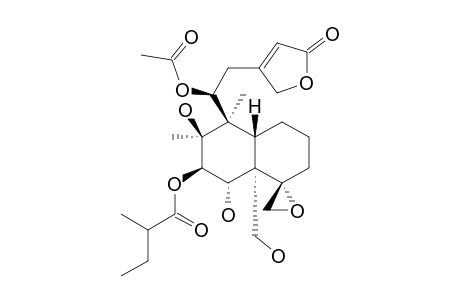 SCUPOLIN-D;(11-S)-11-ACETOXY-7-BETA-[(2'-METHYL-BUTYRYL)-OXY]-4-ALPHA,18-EPOXY-6-ALPHA,8-BETA,19-TRIHYDROXY-NEOClEROD-13-EN-15,16-OLIDEX