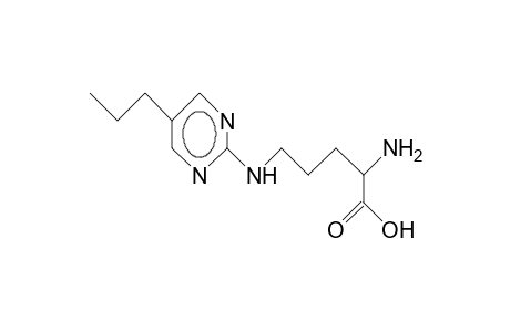 N.delta.-(5-Propyl-2-pyrimidinyl)ornithine