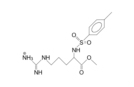 N2-(P-Tolylsulfonyl)-L-argininium methyl ester cation