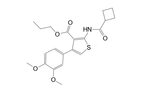 propyl 2-[(cyclobutylcarbonyl)amino]-4-(3,4-dimethoxyphenyl)-3-thiophenecarboxylate