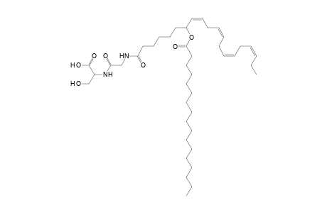 NAGlySer 17:0/20:4
