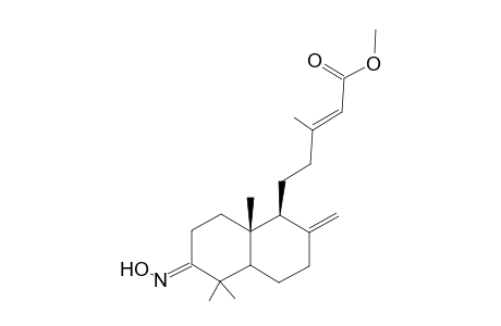 (1R,2S) Methyl 5-(8-oximido-3-methylene-1,7,7-trimethylbicyclo[4.4.0]decan-2-yl)-3-methylpent-2-enoate
