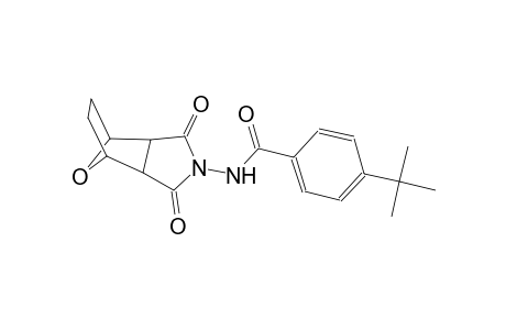4-tert-butyl-N-(3,5-dioxo-10-oxa-4-azatricyclo[5.2.1.0~2,6~]dec-4-yl)benzamide