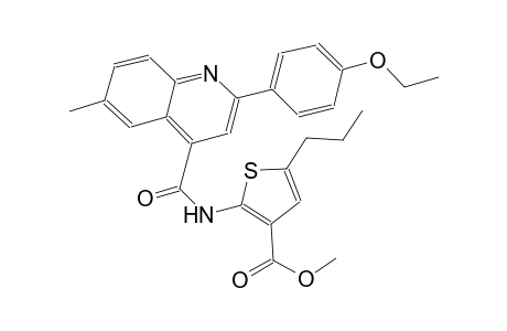 methyl 2-({[2-(4-ethoxyphenyl)-6-methyl-4-quinolinyl]carbonyl}amino)-5-propyl-3-thiophenecarboxylate