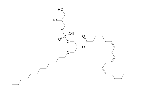 PG O-12:0_18:5