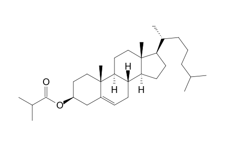 Isobutyric acid, cholesteryl ester