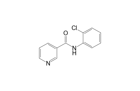 N-(2-Chlorophenyl)-3-pyridinecarboxamide