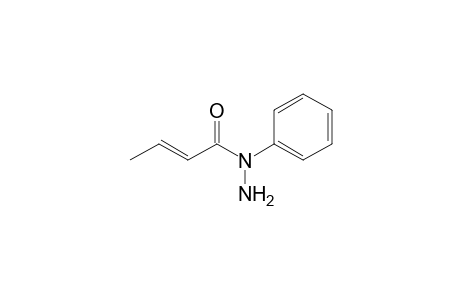 2-Butenoic acid,1-phenylhydrazide