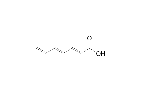 (2E,4E)-Hepta-2,4,6-trienoic acid