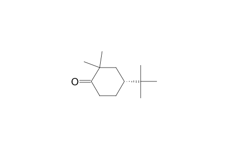 (R)-(+)-2,2-Dimethyl-4-tert-butylcyclohexanone