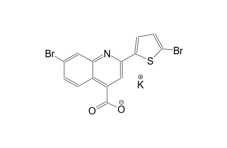 potassium 7-bromo-2-(5-bromo-2-thienyl)-4-quinolinecarboxylate