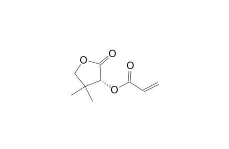 (R)-alpha-Acryloyloxy-beta,beta-dimethyl-gamma-butyrolactone