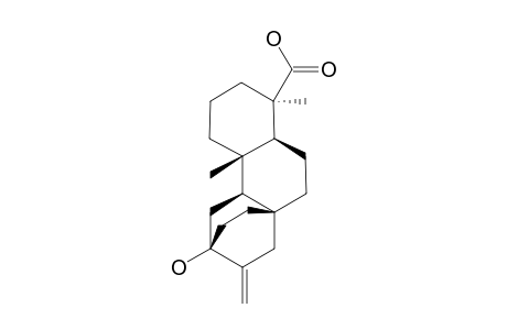 PLATENCIN_SL3;12-(R)-HYDROXY-ENT-ATISEREN-19-OIC_ACID