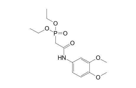 Diethyl 2-[(3',4'-dimethoxyphenyl)amino-2'-oxoethyl]-phosphonate