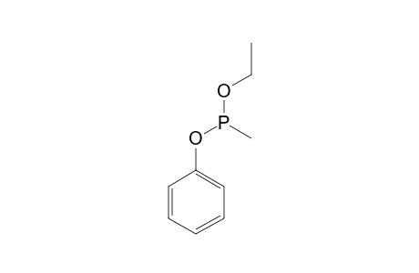 ethoxy-methyl-(phenoxy)phosphane