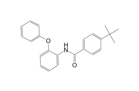 4-tert-butyl-N-(2-phenoxyphenyl)benzamide