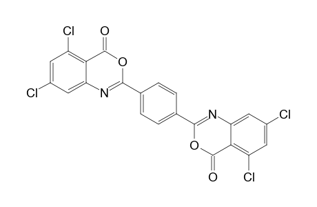 2,2'-(1,4-PHENYLENE)-BIS-(5,7-DICHLORO-4H-3,1-BENZOXAZIN-4-ONE)