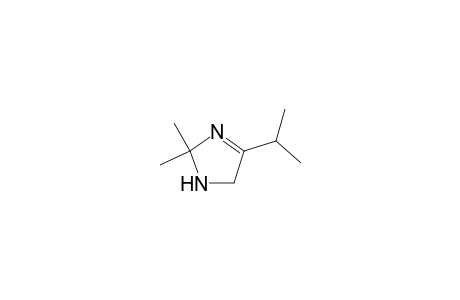2,2-Dimethyl-4-propan-2-yl-1,5-dihydroimidazole