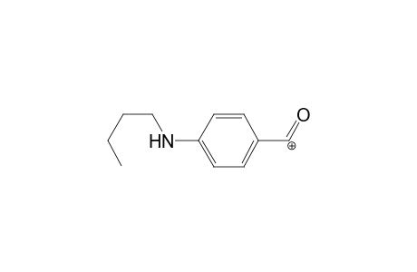 Tetracaine MS3_2