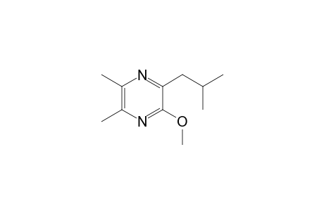 2-Methoxy-5,6-dimethyl-3-(2-methylpropyl)pyrazine